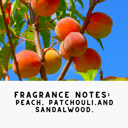 TDL "CASHMERE', Concentrated,Natural Laundry Detergent Powder - Peachwood & Patchouli | High Efficiency/Standard Machine Washing |Nontoxic|Stain/Odor Removal (32 oz / 64 Loads)