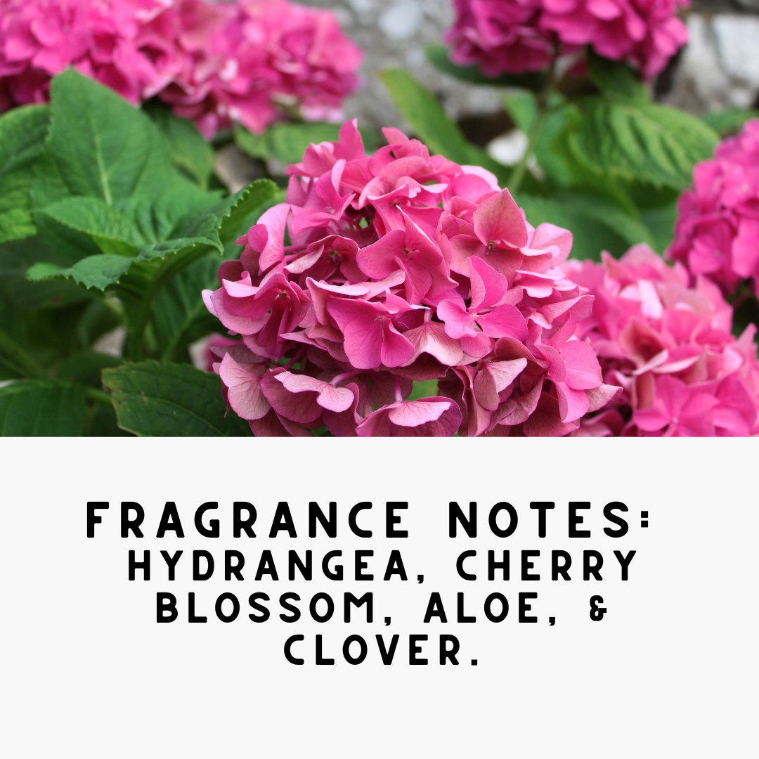 TDL  'PINK FIELDS', Concentrated,Natural Laundry Detergent Powder - Hydrangea & Clover | High Efficiency & Standard Machine Washing |Nontoxic | Stain & Odor Removal (32 oz / 64 Loads)